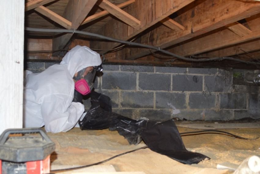 A man in a white suit and mask performs mold removal in a Chicago basement, ensuring a safe crawl space.