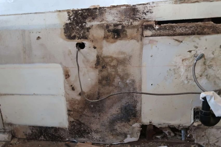 A neglected bathroom with visible mold and water damage, emphasizing the importance of mold removal services in Chicago, IL.