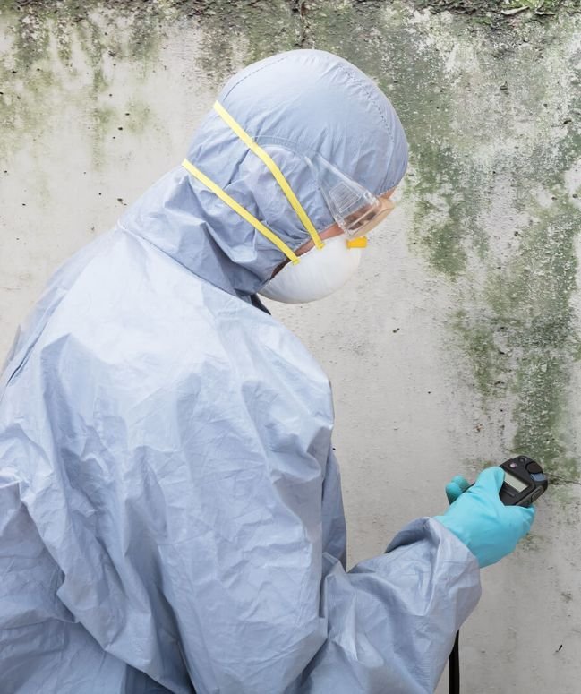 A man wearing a protective suit uses a sprayer on a wall during a mold removal service in Chicago, IL.