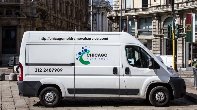A white van is parked along the street, indicating a mold removal service based in Chicago, IL.